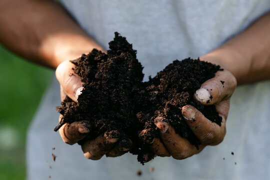 Land Nutrient Management