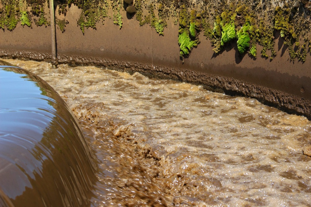 Biosolids